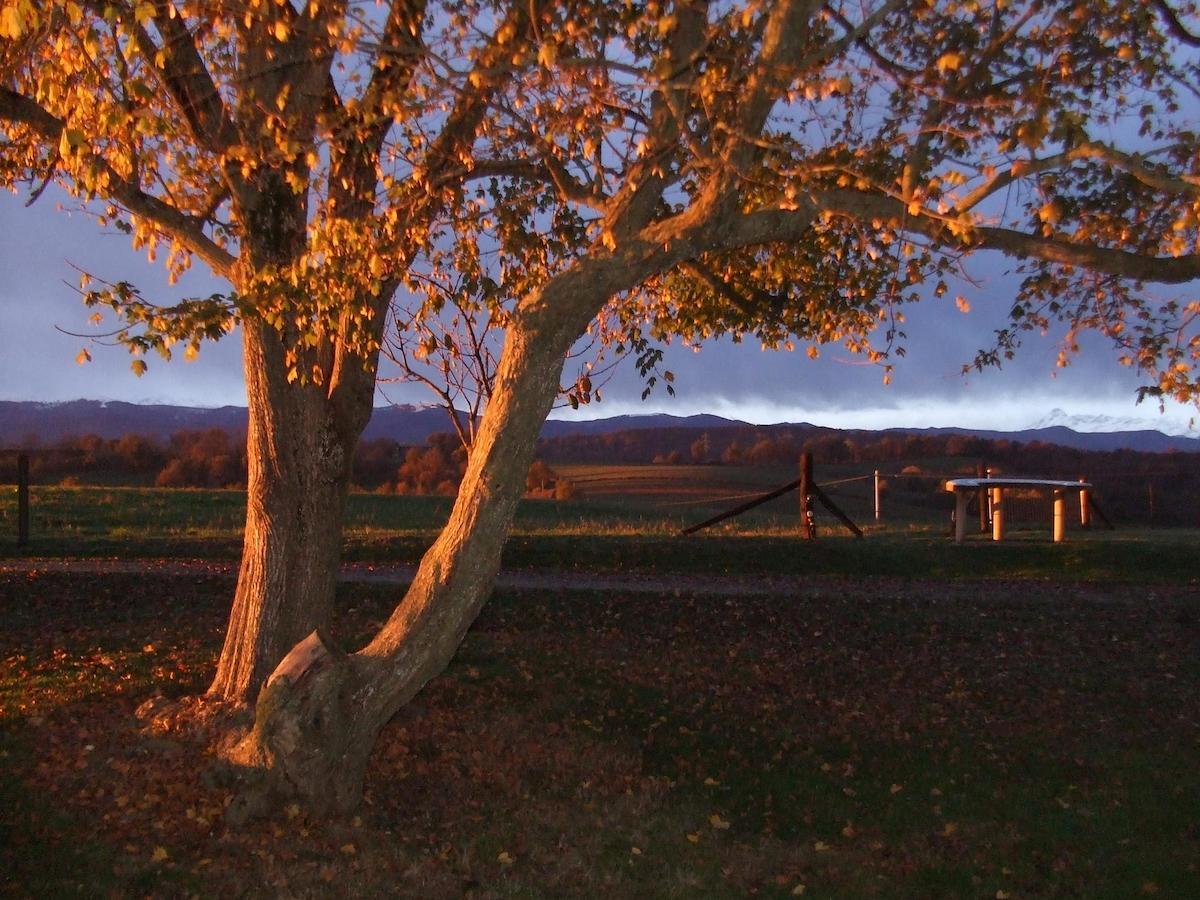 La Ferme Du Bascou * Madiere